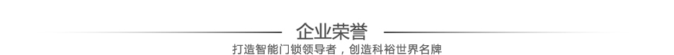 指紋門鎖企業榮譽